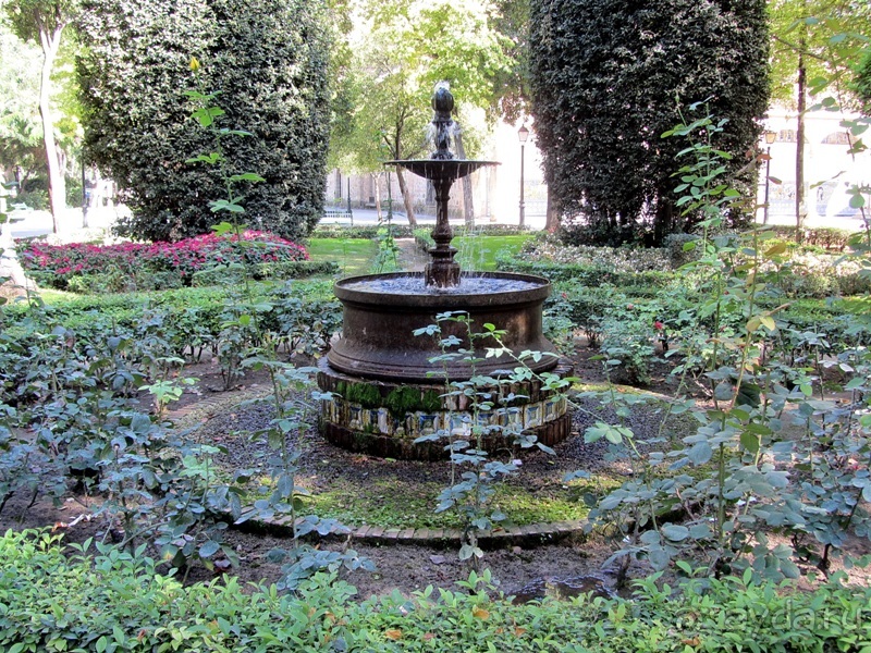 Как мы спасали ёжика и другие прогулки по Кастилии и вокруг Мадрида. Часть 5