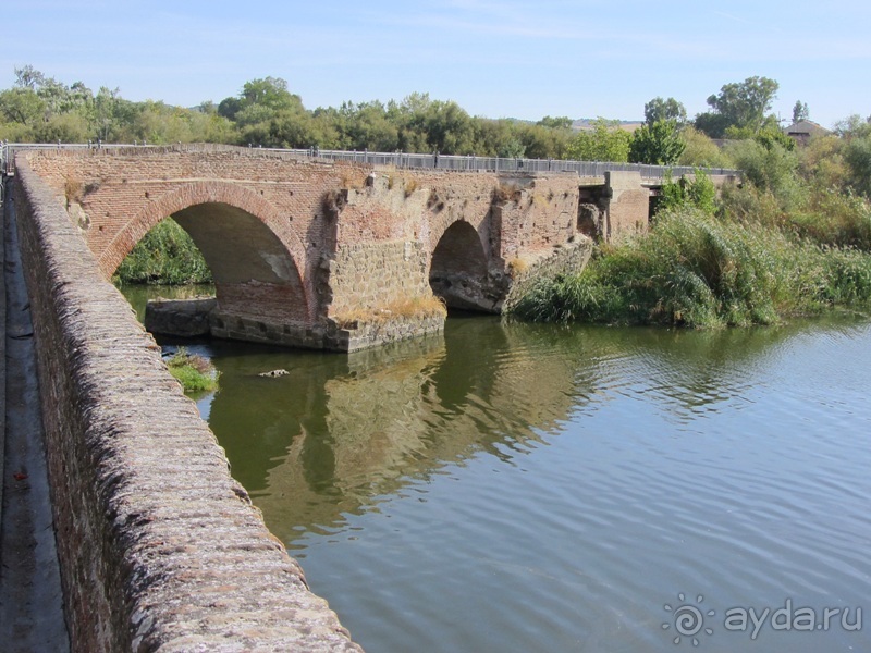 Как мы спасали ёжика и другие прогулки по Кастилии и вокруг Мадрида. Часть 5