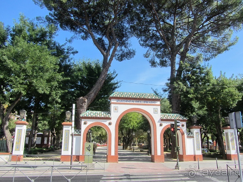 Как мы спасали ёжика и другие прогулки по Кастилии и вокруг Мадрида. Часть 5