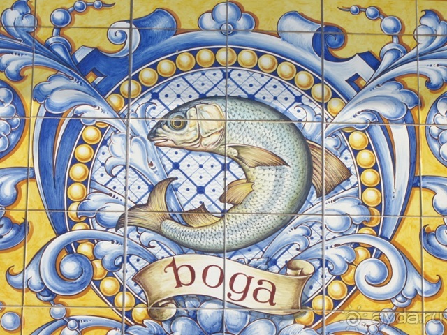 Как мы спасали ёжика и другие прогулки по Кастилии и вокруг Мадрида. Часть 5