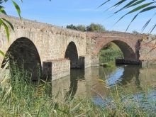 Как мы спасали ёжика и другие прогулки по Кастилии и вокруг Мадрида. Часть 5