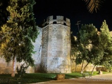 Как мы спасали ёжика и другие прогулки по Кастилии и вокруг Мадрида. Часть 5