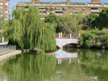 Как мы спасали ёжика и другие прогулки по Кастилии и вокруг Мадрида. Часть 5