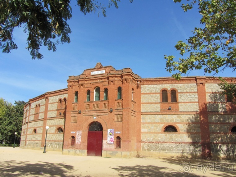 Как мы спасали ёжика и другие прогулки по Кастилии и вокруг Мадрида. Часть 5