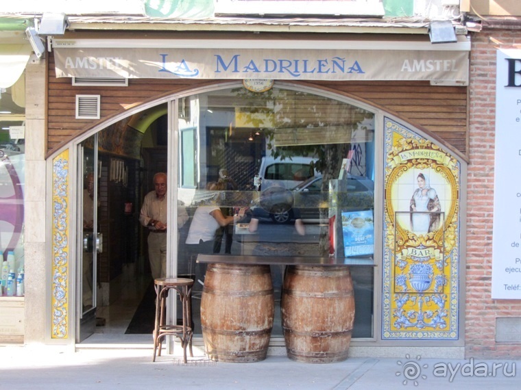 Как мы спасали ёжика и другие прогулки по Кастилии и вокруг Мадрида. Часть 5