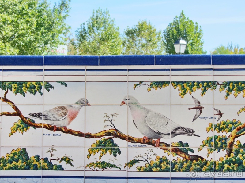 Как мы спасали ёжика и другие прогулки по Кастилии и вокруг Мадрида. Часть 5