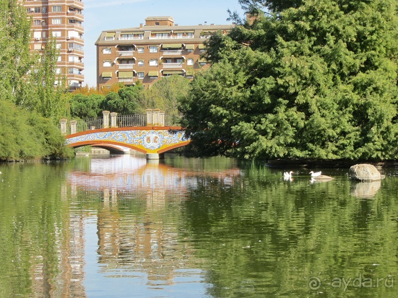 Как мы спасали ёжика и другие прогулки по Кастилии и вокруг Мадрида. Часть 5