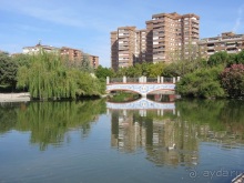 Как мы спасали ёжика и другие прогулки по Кастилии и вокруг Мадрида. Часть 5