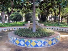 Как мы спасали ёжика и другие прогулки по Кастилии и вокруг Мадрида. Часть 5