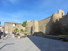 Как мы спасали ёжика и другие прогулки по Кастилии и вокруг Мадрида. Часть 5