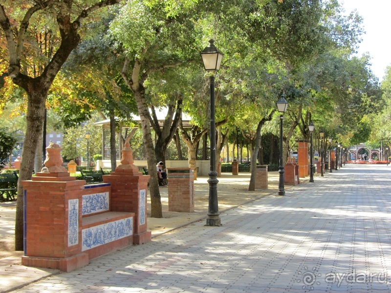 Как мы спасали ёжика и другие прогулки по Кастилии и вокруг Мадрида. Часть 5