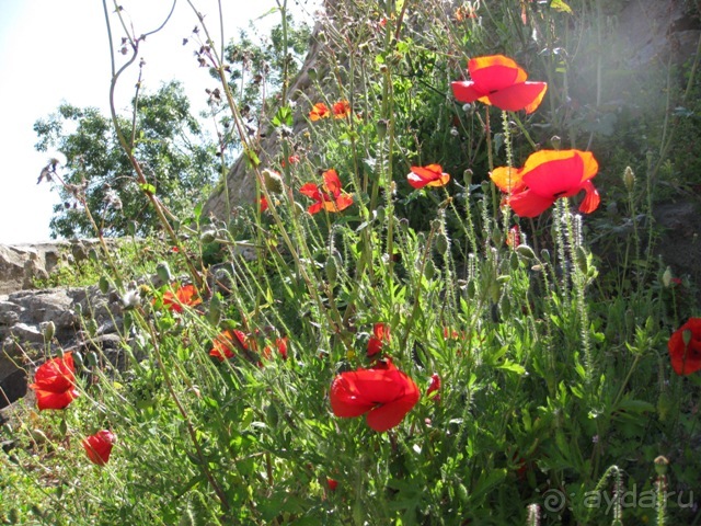 Лиссабон и окрестности. День 3 - немного Лиссабона - Лейрия