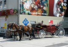 Альбом отзыва "Венские прогулялки - транзитный этюд (продолжение)"