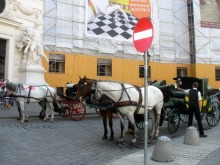 Альбом отзыва "Венские прогулялки - транзитный этюд (продолжение)"