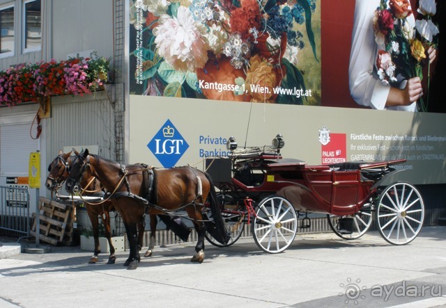 Венские прогулялки - транзитный этюд (продолжение)