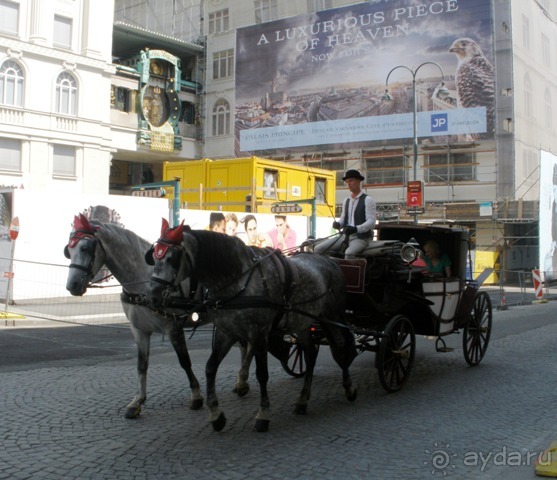 Венские прогулялки - транзитный этюд (продолжение)