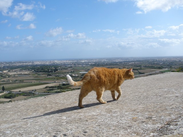 Мальта и мальтит* (МДИНА и РАБАТ)