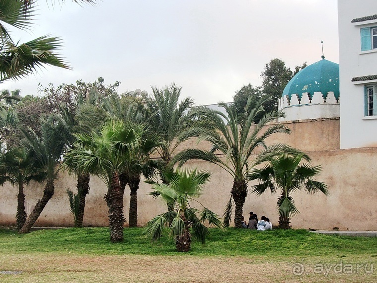 Возвращение на Восток: Марокко без мороки, или страна, которая не напрягает. Часть 11