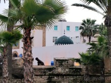 Возвращение на Восток: Марокко без мороки, или страна, которая не напрягает. Часть 11