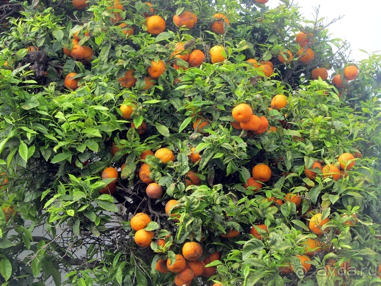 Возвращение на Восток: Марокко без мороки, или страна, которая не напрягает. Часть 11