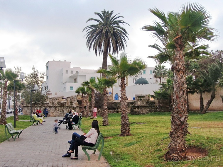 Возвращение на Восток: Марокко без мороки, или страна, которая не напрягает. Часть 11