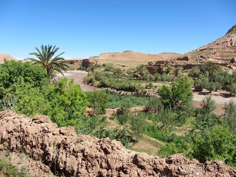 Возвращение на Восток: Марокко без мороки, или страна, которая не напрягает. Часть 6