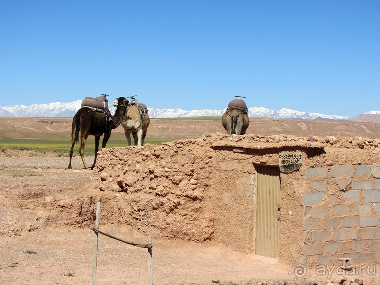 Возвращение на Восток: Марокко без мороки, или страна, которая не напрягает. Часть 6