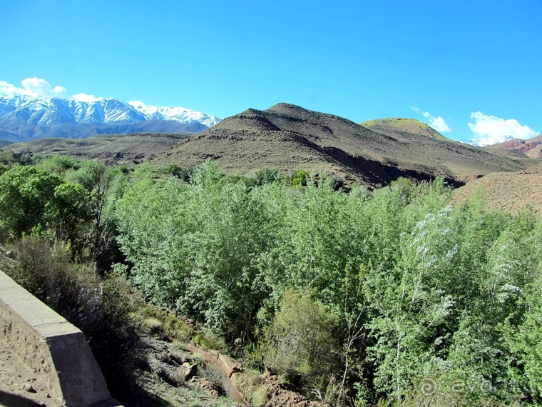 Возвращение на Восток: Марокко без мороки, или страна, которая не напрягает. Часть 7