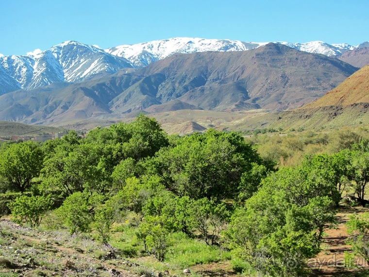 Возвращение на Восток: Марокко без мороки, или страна, которая не напрягает. Часть 7