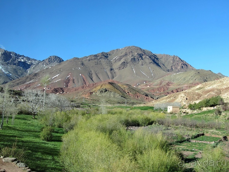 Возвращение на Восток: Марокко без мороки, или страна, которая не напрягает. Часть 7