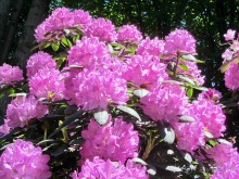 Испанская "Камчатка" - Галисия. Городские путешествия. Часть 9