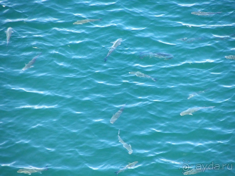 Испанская "Камчатка" - Галисия. Городские путешествия. Часть 9