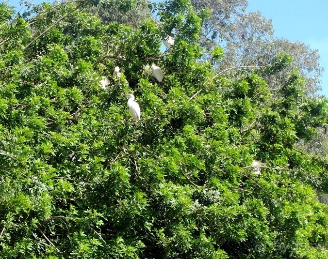 Возвращение на Восток: Марокко без мороки, или страна, которая не напрягает. Часть 12