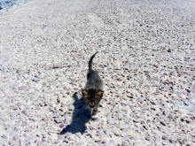 Возвращение на Восток: Марокко без мороки, или страна, которая не напрягает. Часть 12