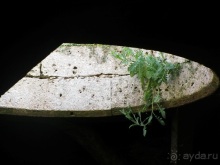 Возвращение на Восток: Марокко без мороки, или страна, которая не напрягает. Часть 12