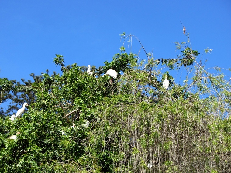 Возвращение на Восток: Марокко без мороки, или страна, которая не напрягает. Часть 12