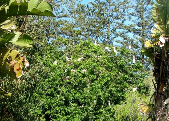 Возвращение на Восток: Марокко без мороки, или страна, которая не напрягает. Часть 12