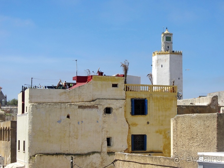 Возвращение на Восток: Марокко без мороки, или страна, которая не напрягает. Часть 12