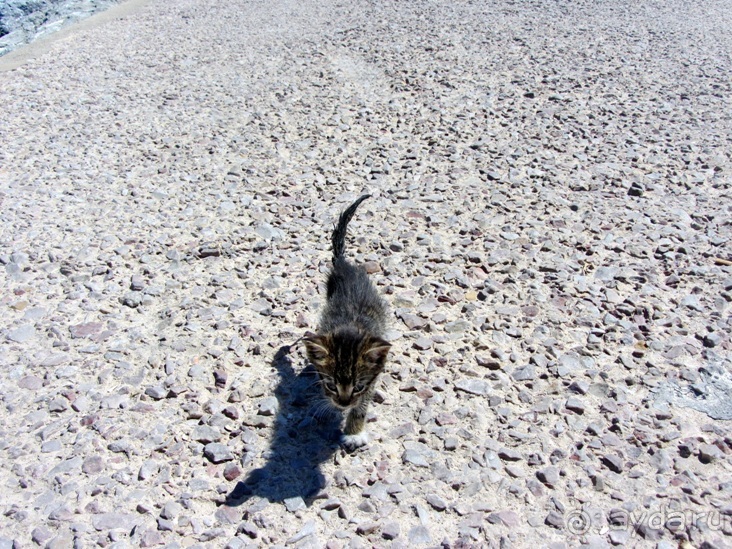 Возвращение на Восток: Марокко без мороки, или страна, которая не напрягает. Часть 12