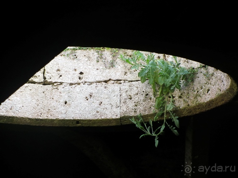 Возвращение на Восток: Марокко без мороки, или страна, которая не напрягает. Часть 12