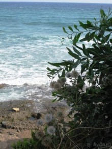 Сиде и окрестности (Сиде)