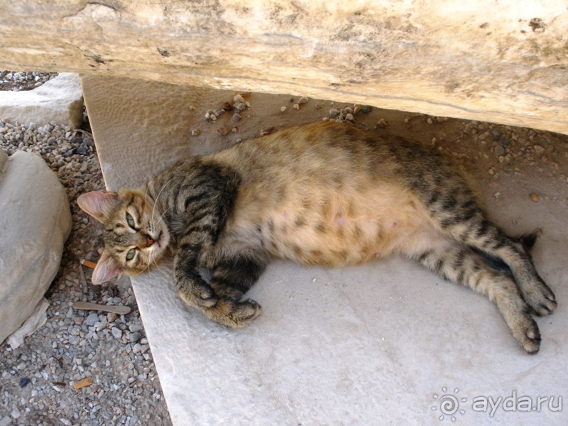 Сиде и окрестности (Сиде)