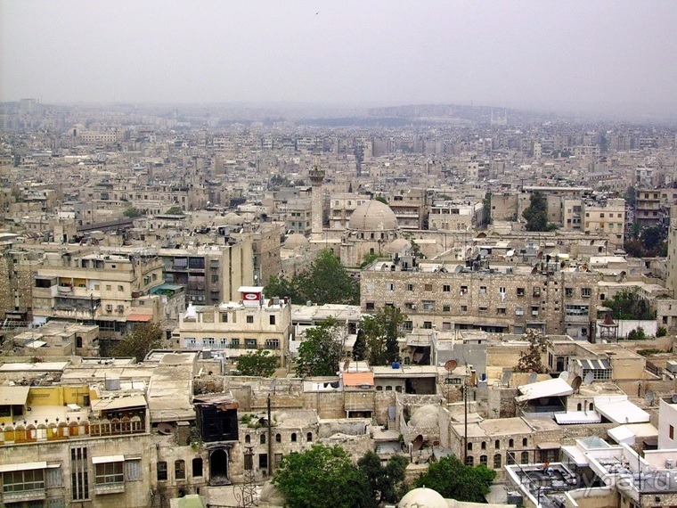 Альбом отзыва "Памяти Сирии"