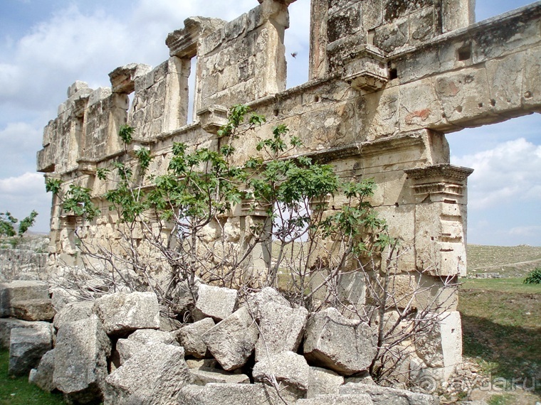 Альбом отзыва "Памяти Сирии"