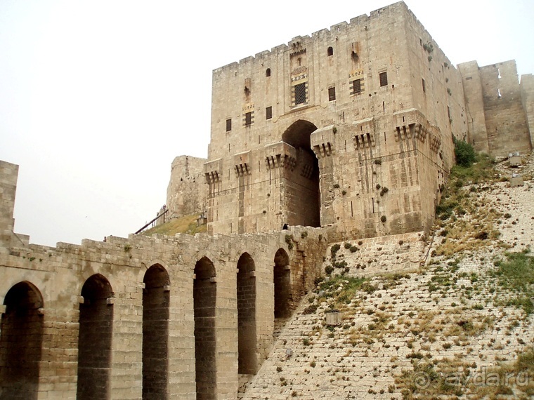 Альбом отзыва "Памяти Сирии"