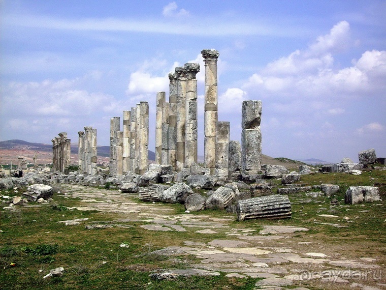 Альбом отзыва "Памяти Сирии"