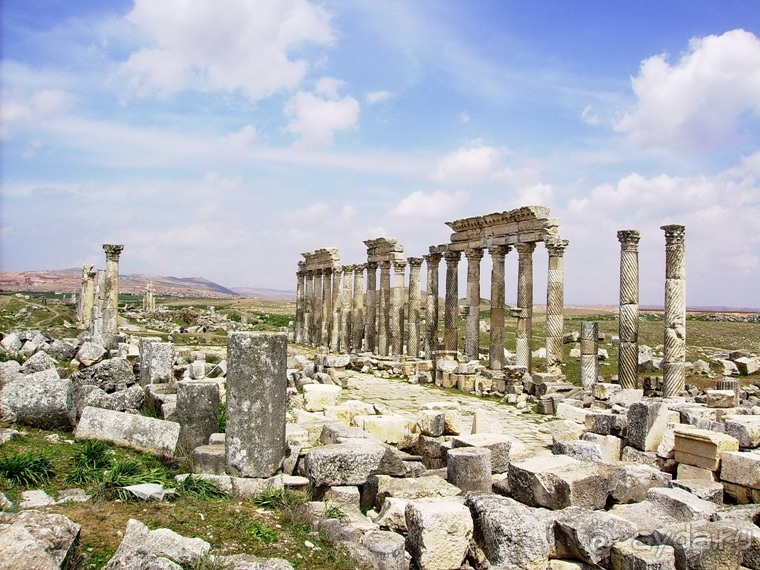 Альбом отзыва "Памяти Сирии"