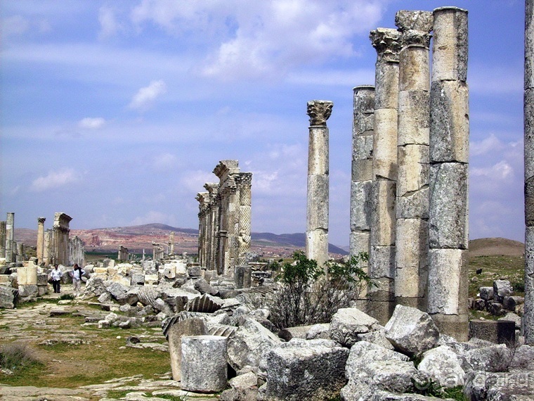 Альбом отзыва "Памяти Сирии"