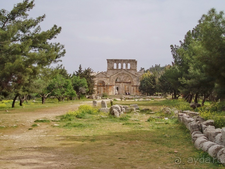 Альбом отзыва "Памяти Сирии"