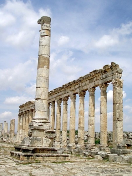 Альбом отзыва "Памяти Сирии"